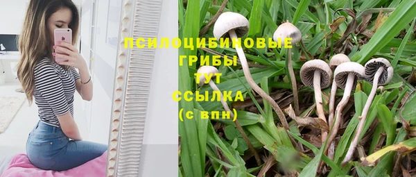 кокаин Арсеньев