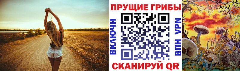 мориарти состав  mega ссылка  Мещовск  магазин продажи наркотиков  Псилоцибиновые грибы GOLDEN TEACHER 